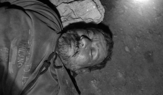 भोजपुरमा सुन्तला उत्पादनमा वृद्धि