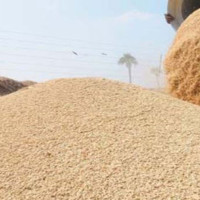 लामो दूरीका रात्रि तथा दिवा सेवाका गाडी बसपार्कबाट मात्रै छुट्ने