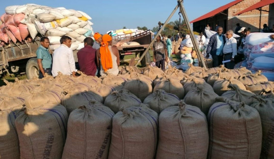 दाङबाट खाद्यले किन्यो एक करोड ४४ लाख बढीको धान