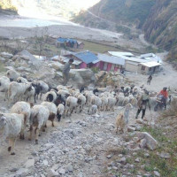 पोखराका व्यस्त सडकमा  ‘पार्किङ ’ गर्न रोक