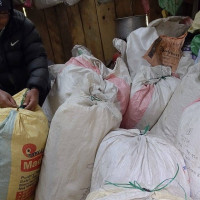 बेमौसमी वर्षाले क्षति पुर्‍याएपछि झापामा धान उत्पादन घट्यो