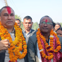 फूगाउँबाट सातसय ९१ किलो जिम्बु निकासी