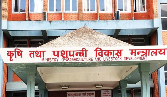 मुख्यमन्त्री शाहद्वारा चार आयोजनाको सुरुवात