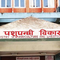 मुख्यमन्त्री शाहद्वारा चार आयोजनाको सुरुवात