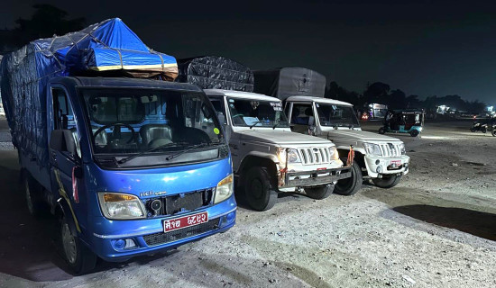 काष्ठकला उद्योगबाट मनग्य आम्दानी गर्दै रसाइली