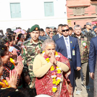 झापामा नरिवलको व्यावसायिक खेती सुरु