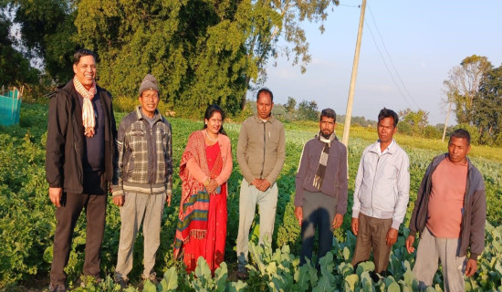 तरकारी खेती गरेर दुई बिघा जमिन