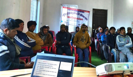 लैङ्गिक हिंसा रोक्न पुरुष भूमिकाको खोजी