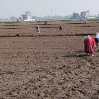 एनपिएल : चितवन टस जितेर फिल्डिङमा