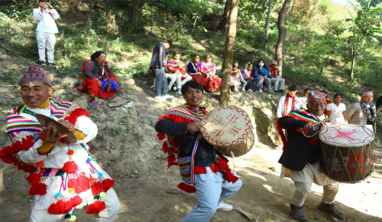 हात्तीवनमा उधौली उत्सव (फोटो फिचर)