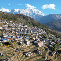 झापामा धानको समर्थन मूल्य तोकियो, खाद्य कम्पनी ५० हजार क्विन्टल धान खरिद गर्दै