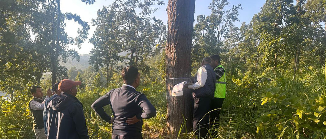 रुख कटानको काम अन्तिम चरणमा