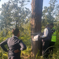 १०० वर्ष अघिको गोर्खापत्र