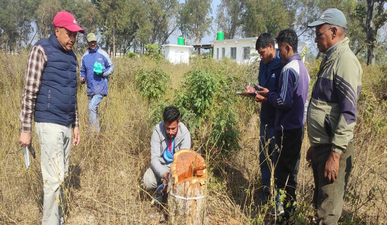एलडिसी बैठकः वित्तीय एवम् एकीकृत सहयोगमा नेपालको जोड