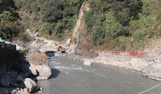 अवैध रुपमा काटिएको रुखबारे अनुसन्धान सुरु