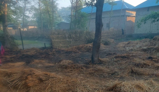 मतदाता जागरुक बनाउँदै जेनजी