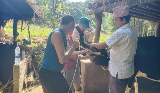 साङधुङगे माङ्गेना कपको उपाधि हाङपाङलाई