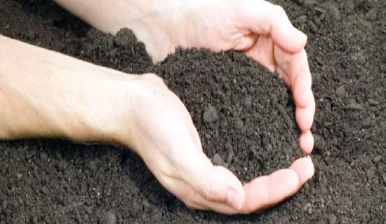 प्रभावशाली उम्मेदवारको पराजय