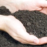 नयाँ बसपार्कमा यात्रुलाई दुःख दिने ३७० जना कारबाहीमा