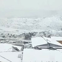 नयाँ बसपार्कमा यात्रुलाई दुःख दिने ३७० जना कारबाहीमा