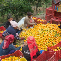 मुक्तिनाथले दियो प्रहरीलाई रंगिन टेलिभिजन
