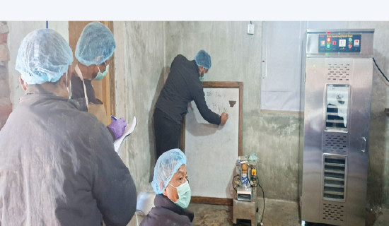 किवी प्रशोधन उद्योग सञ्चालन