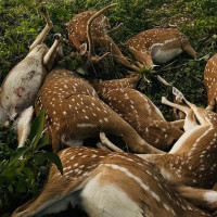 समयमै पारिश्रमिक दिने सहमति पछि काममा फर्किएर मजदुर