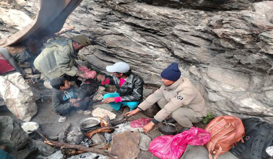 जडिबुटी सङ्कलकको बास ओढारमा