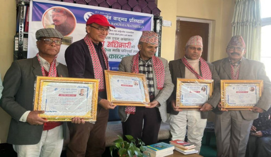 एनपिएल : चितवनमाथि पोखराको सहज जित