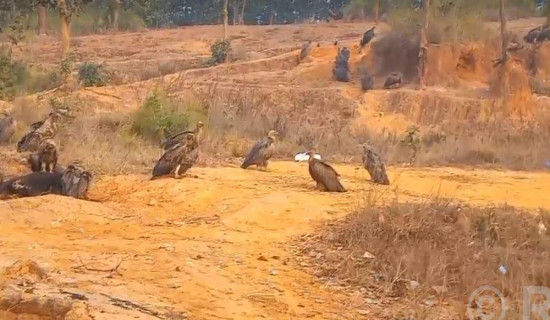 आज अन्तरराष्ट्रिय नागरिक उड्डयन दिवस