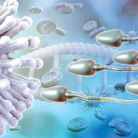 जेनजी आन्दोलन- आगजनीमा संलग्न पाँच जना पक्राउ