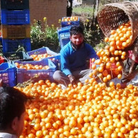 जसपा नेपालले गठन गर्यो संघीय संसदीय बोर्ड