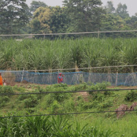 सवारी दुर्घटनामा एकको मृत्यु, पाँच घाइते