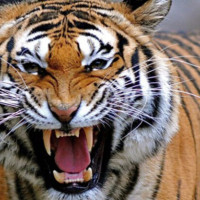 कीर्गिस्तानमाथि नेपालको कठिन जित