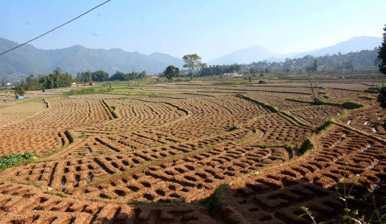 निर्माणाधीन घरपझोङ रिङरोड