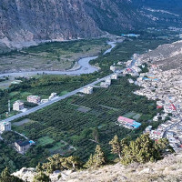 धवन र तनवीरको उद्देश्य एउटै