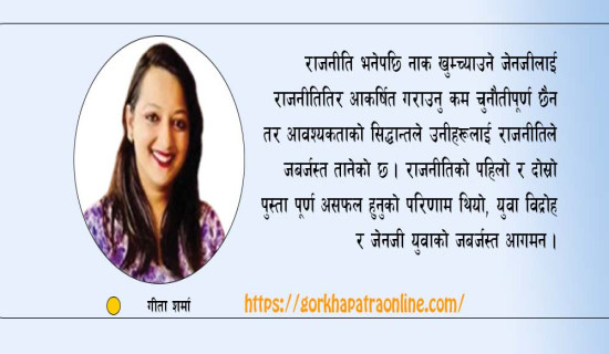 युवालाई राजनीतिक प्रशिक्षण