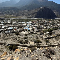 बागलुङमा जेबिसीमाथि पहिरो खस्दा सह–चालकको मृत्यु