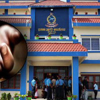 अनुसन्धानमा सरकार सहकार्य गर्न सधैँ तत्पर