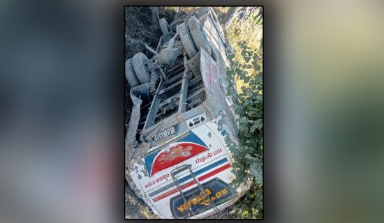 ब्याक गर्ने क्रममा ब्रेक फेल भएर बस दुर्घटना, चालक घाइते