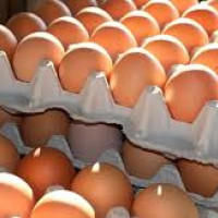 लोकतन्त्रले दियो सबैलाई सम्मान