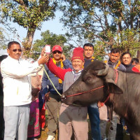 शुक्लाफाँटाको क्षति तीन करोडभन्दा बढी