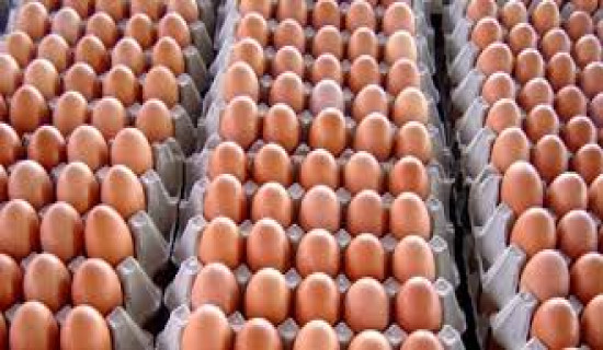 आगजनी र तोडफोडमा संलग्न १५ जना पक्राउ