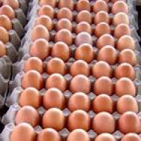 काभ्रेका आठ अस्पतालबाट स्वास्थ्य बिमा