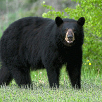 काभ्रेका आठ अस्पतालबाट स्वास्थ्य बिमा