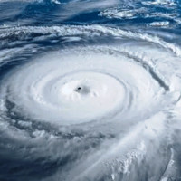 निर्वाचन राष्ट्रिय दायित्व : प्रम