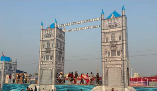 पाल्पामा बस दुर्घटना, दुई जनाको मृत्यु