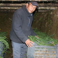 नयाँ भन्सार ऐन लागु