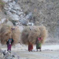 घरेलु हिंसाका घटना बढ्दो