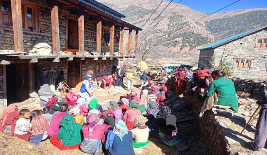 घरेलु हिंसाका घटना बढ्दो